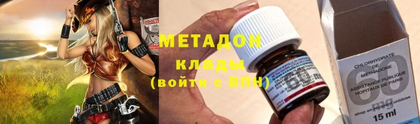 стаф Алексин
