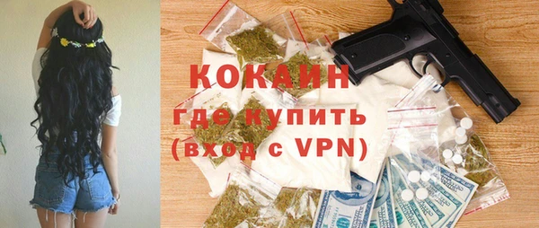 хмурый Алзамай