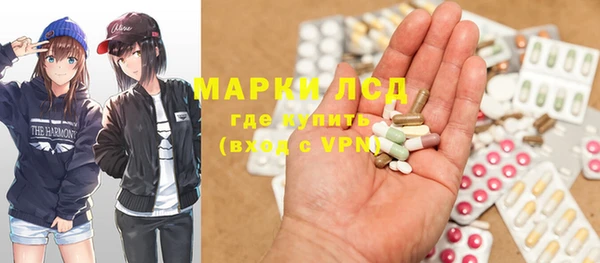 стаф Алексин