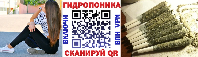 где купить наркотик  Алдан  MEGA ссылки  Шишки марихуана конопля 